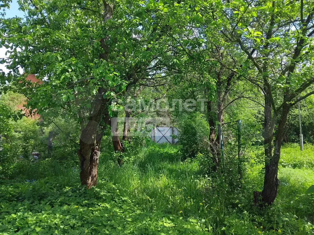Участок 6,5 сот. (СНТ, ДНП) - Фото 1