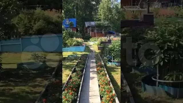 Дача 25 м на участке 10 сот. - Фото 1