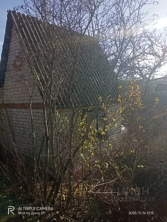 Дом в Белгородская область, Белгородский район, Северный городское ... - Фото 2