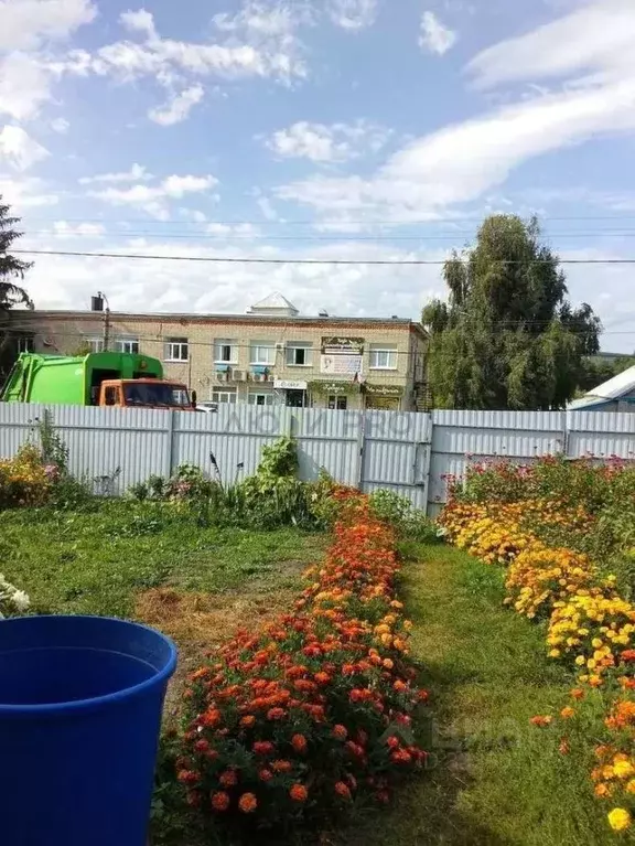 Дом в Пензенская область, Шемышейка пгт ул. Ленина, 50 (37 м) - Фото 2