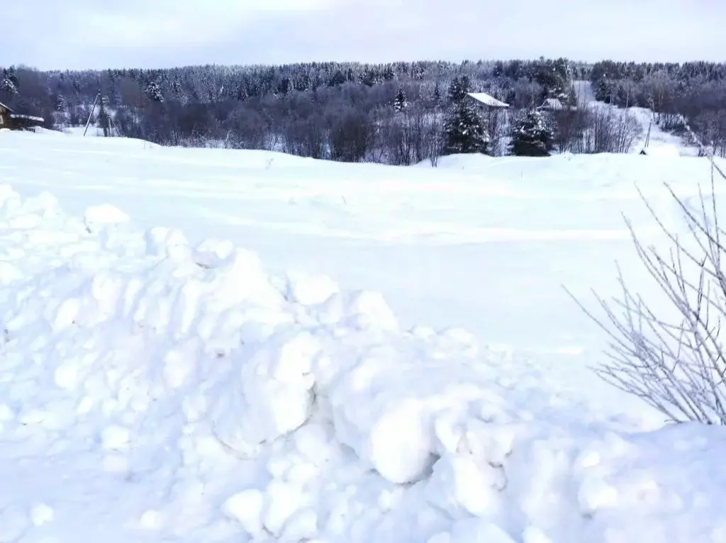 Участок в Вологодская область, Великоустюгский муниципальный округ, д. ... - Фото 1