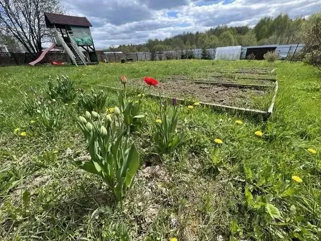 Дом в Владимирская область, Александровский муниципальный округ, ДНП ... - Фото 2