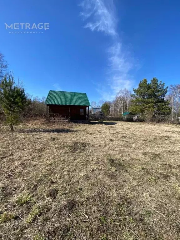 Участок в Новосибирская область, Коченевский район, Ветеран садовое ... - Фото 1