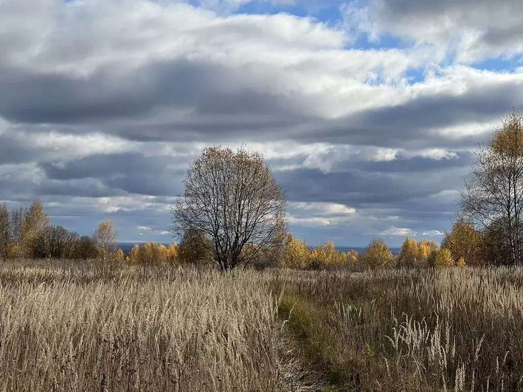 Участок в Тверская область, Калининский муниципальный округ, д. ... - Фото 1