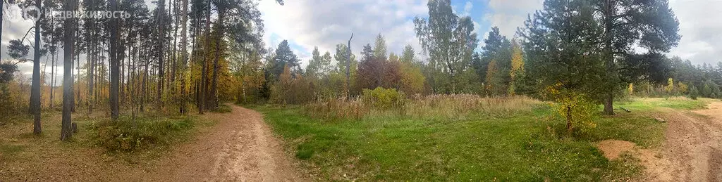 Участок в Приозерский район, Сосновское сельское поселение, деревня ... - Фото 1