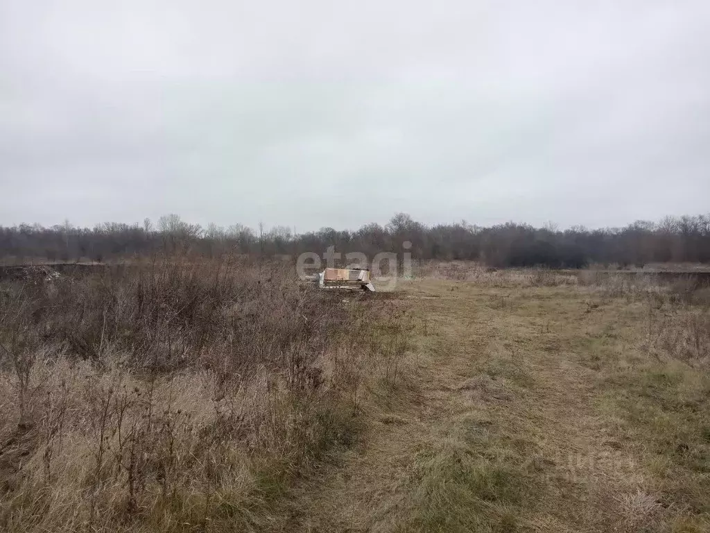 Участок в Белгородская область, Волоконовский район, с. Ютановка  ... - Фото 1