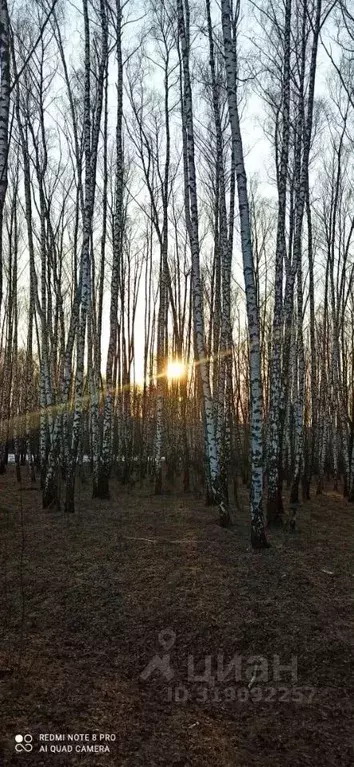 Участок в Тульская область, Тула городской округ, с. Осиновая Гора, ... - Фото 0
