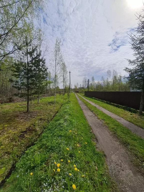 Участок в Новгородская область, Маловишерское городское поселение, д. ... - Фото 1