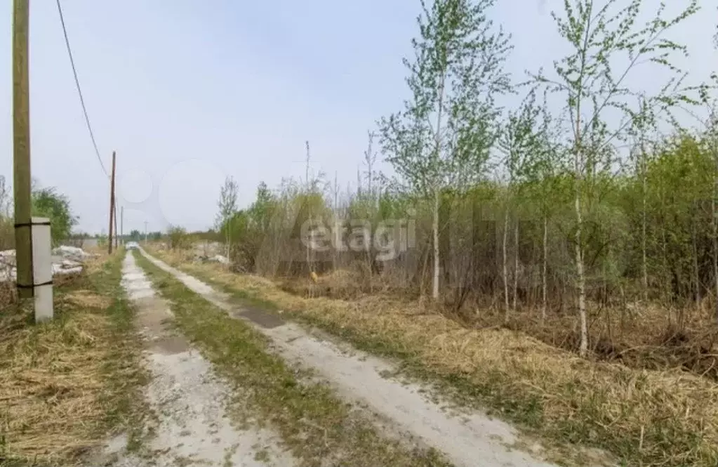 Участок 10 сот. (СНТ, ДНП) - Фото 0