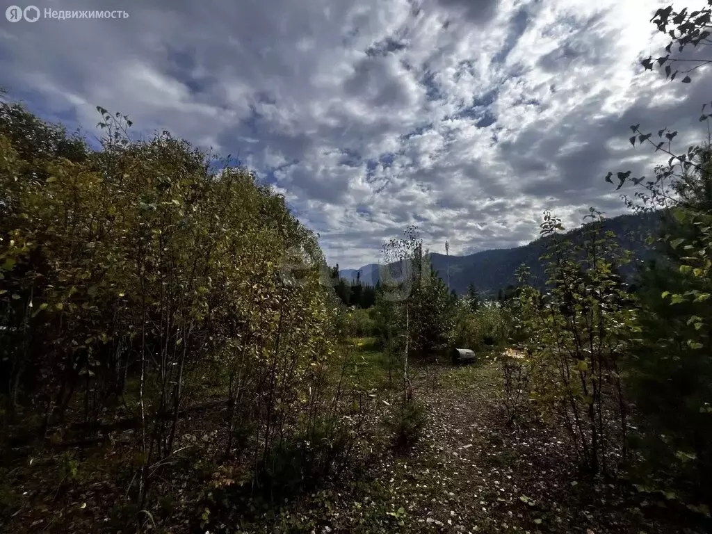 Участок в село Артыбаш, Прибрежный переулок (17 м) - Фото 2