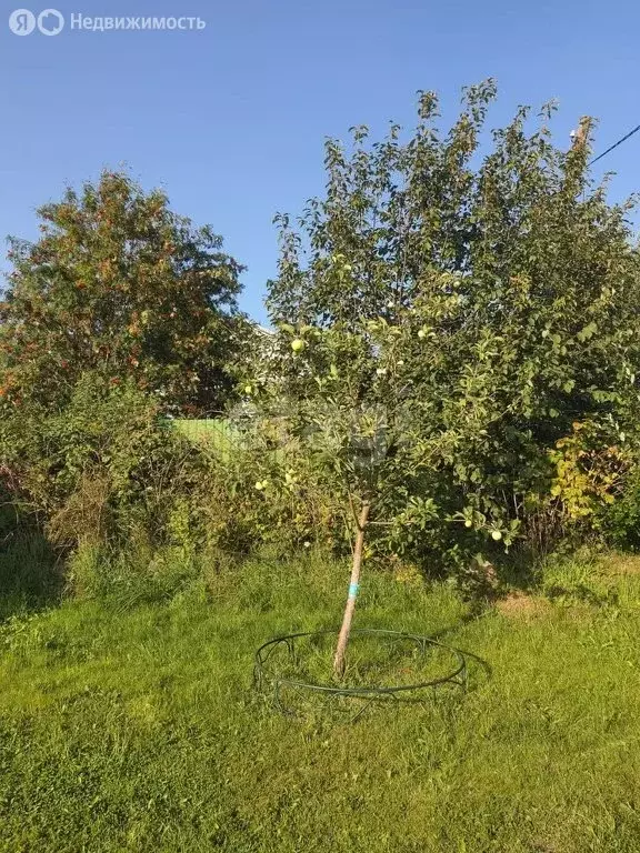Участок в Прионежский район, село Заозерье (6.3 м) - Фото 1
