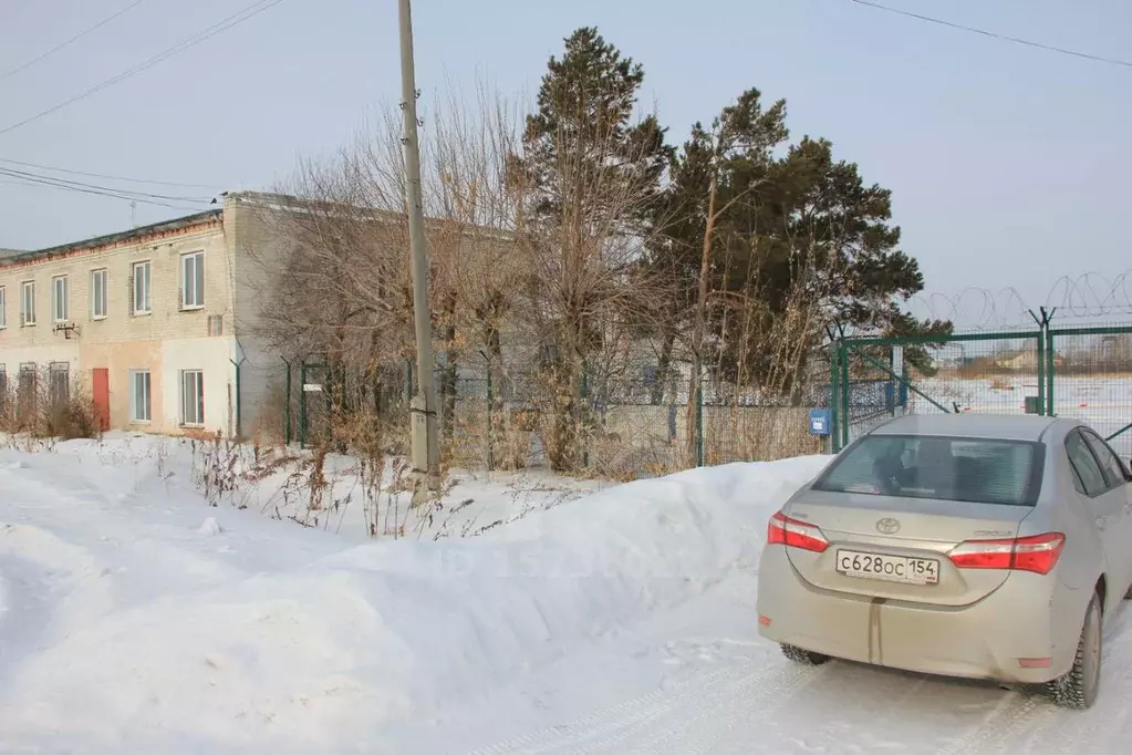 Комсомольский тюменская область. Комсомольский тюменская область. Комсомольский тюменская область. Средние чирки голышмановского района. Поселок комсомольский заводоуковский район.