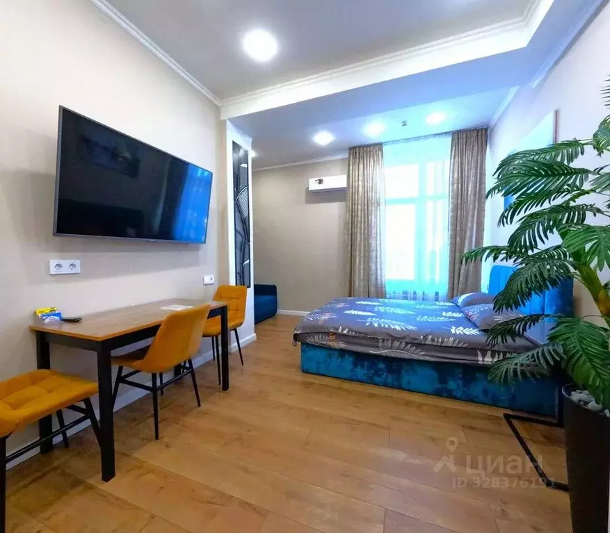 Студия Крым, Ялта ул. Киевская, 44 (30.0 м) - Фото 1