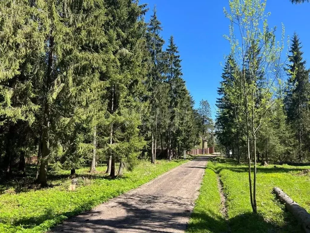 Участок в Московская область, Дмитровский муниципальный округ, ... - Фото 0