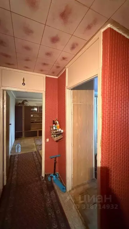 Квартира, 2 комнаты, 45 м - Фото 0