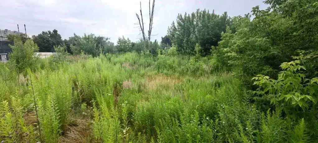 Участок в Тульская область, Тула пос. Рогожинский,  (10.57 сот.) - Фото 2