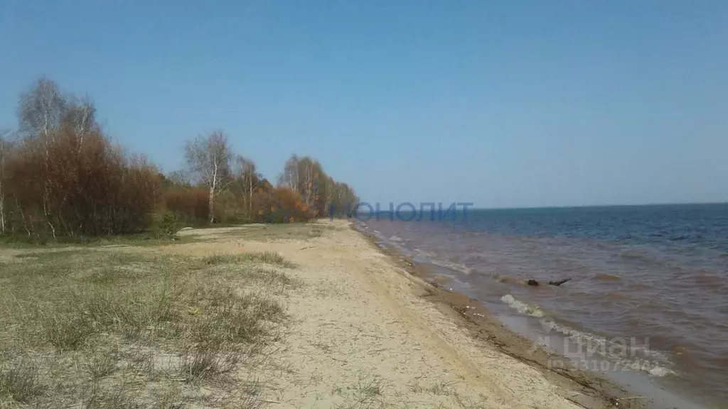 Участок в Нижегородская область, Чкаловск муниципальный округ, д. ... - Фото 1