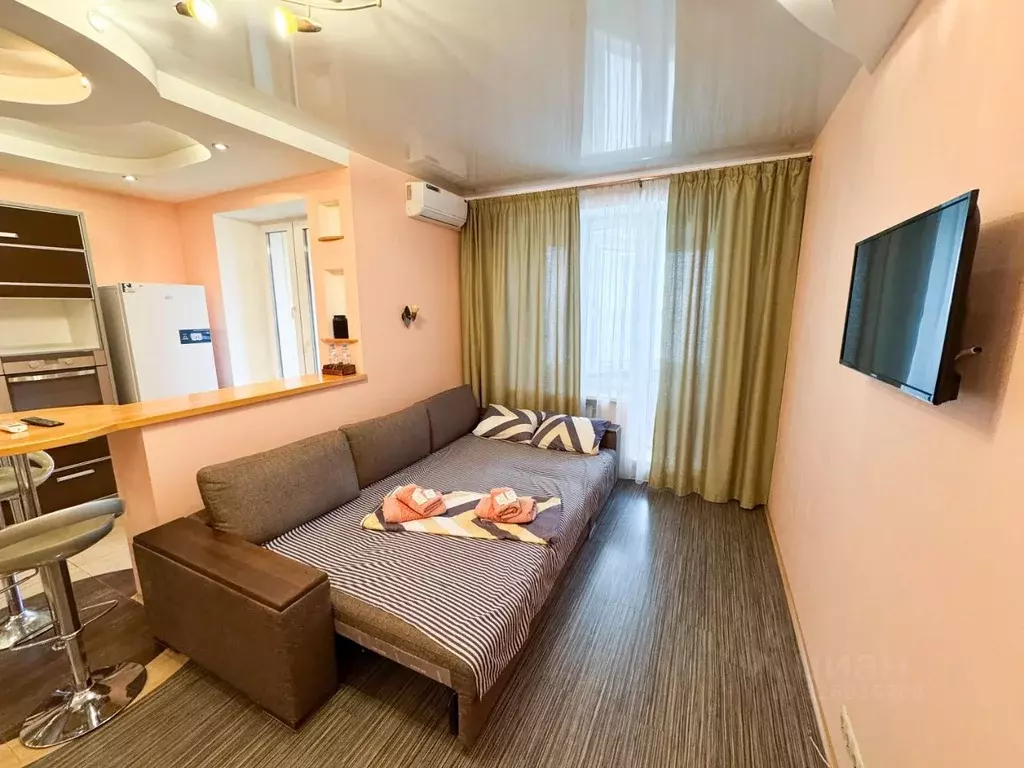 Студия Московская область, Химки Совхозная ул., 5 (35.0 м) - Фото 2