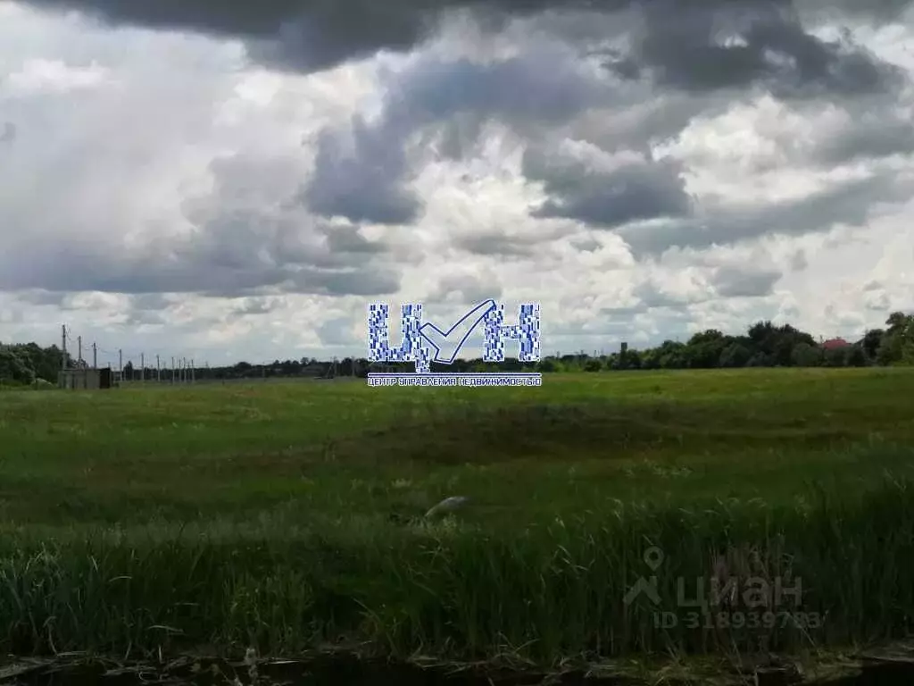 Участок в Курская область, Курский район, Шумаковский сельсовет, с. ... - Фото 1