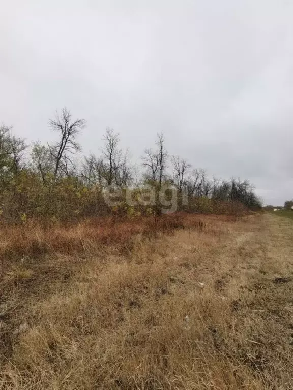Участок в Воронежская область, Нижнедевицкий район, Верхнетуровское ... - Фото 0