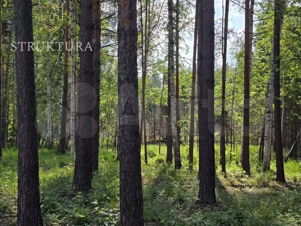 Участок 17,6 сот. (ИЖС) - Фото 0
