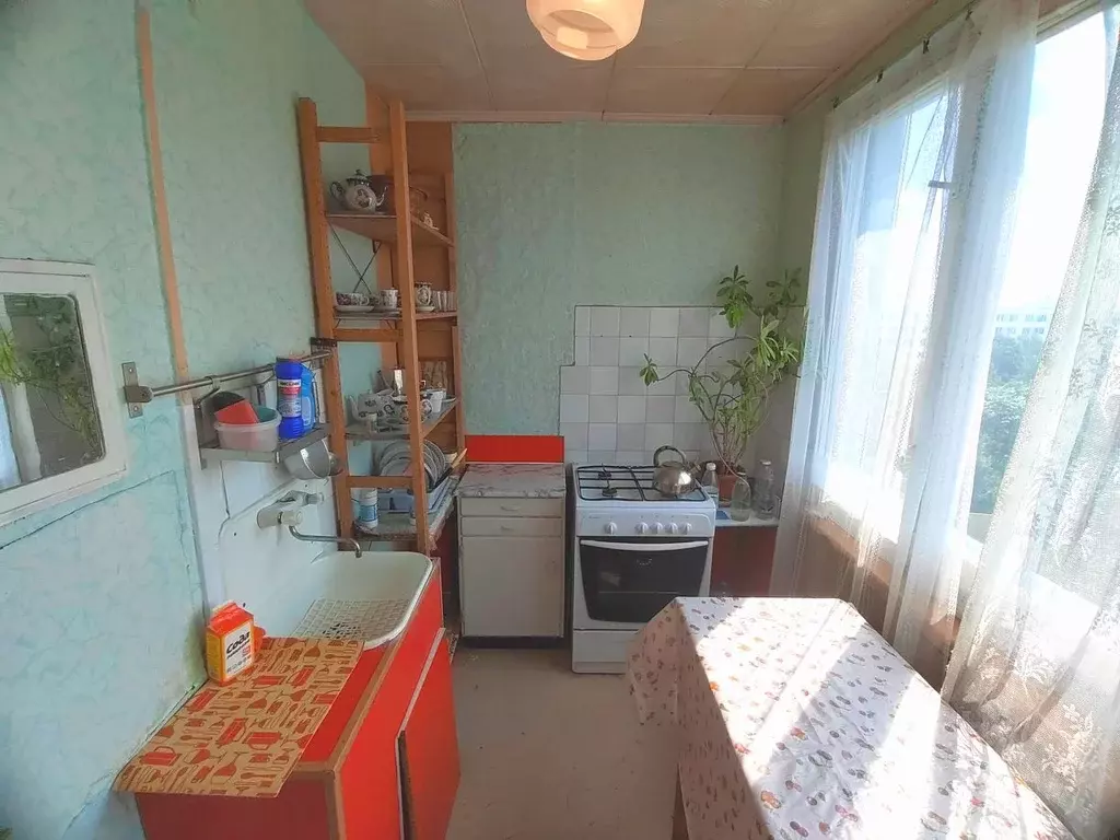 1-к кв. Санкт-Петербург ул. Дыбенко, 38 (29.4 м) - Фото 1