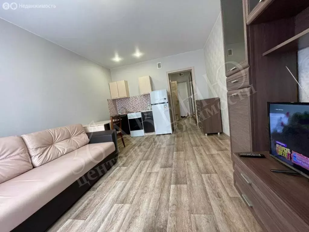 Квартира-студия: Воронеж, улица 45-й Стрелковой Дивизии, 247/4 (26 м) - Фото 1