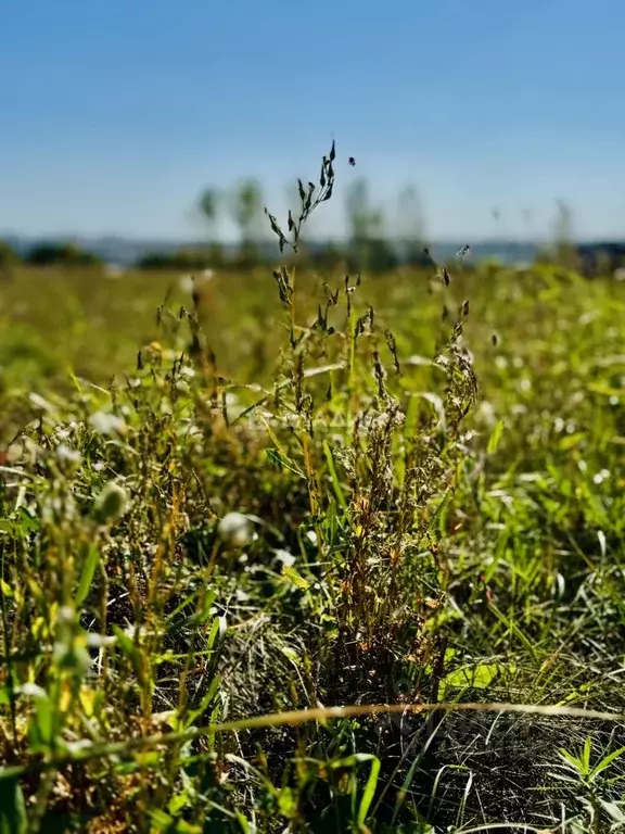 Участок в Белгородская область, Старый Оскол ул. Нижегородская (15.0 ... - Фото 2