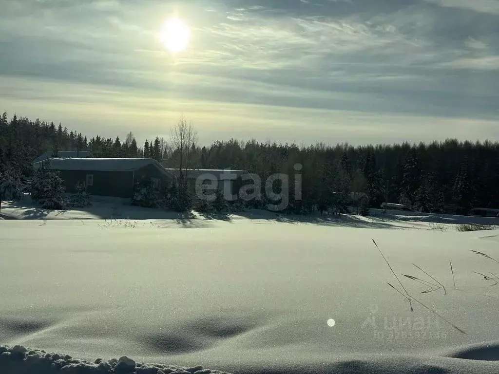 Участок в Кировская область, Слободской район, Шиховское с/пос, д. ... - Фото 2