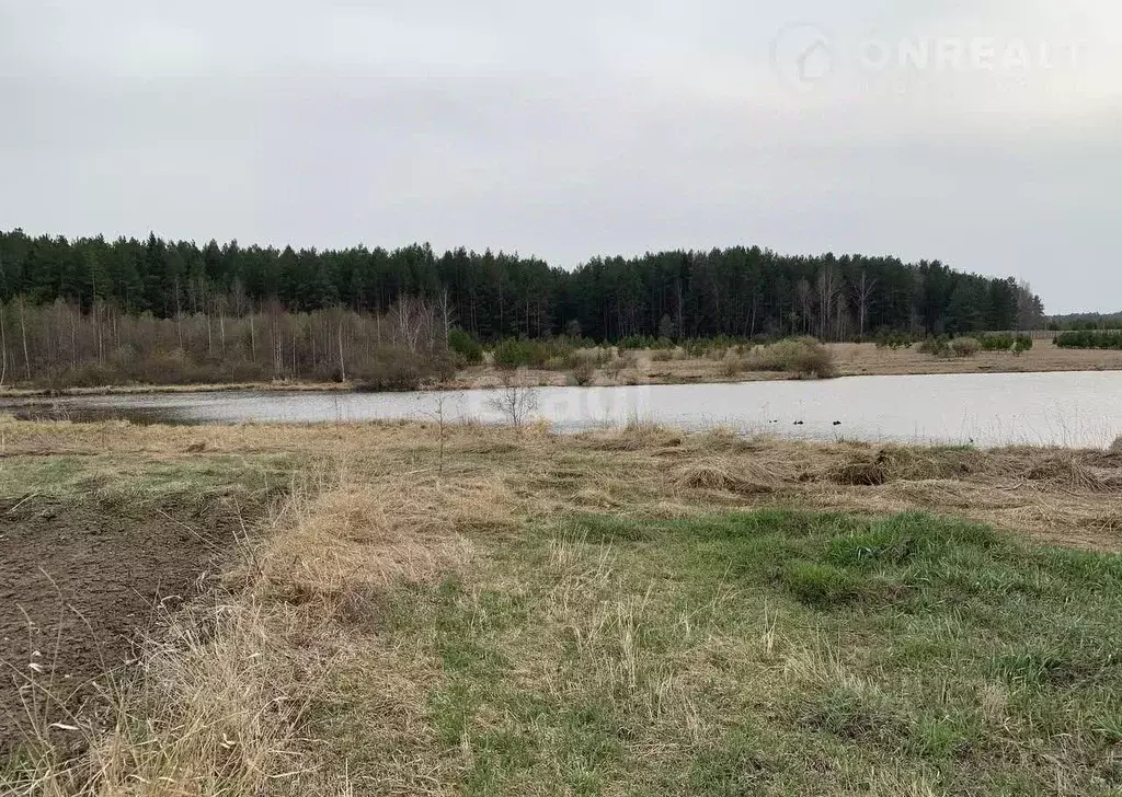 Участок в Свердловская область, Серовский муниципальный округ, Уют КС  ... - Фото 0