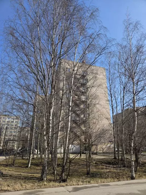 Комната Санкт-Петербург Искровский просп., 6К2 (17.1 м) - Фото 2