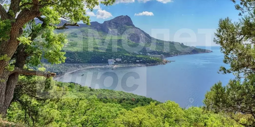 Студия Крым, Ялта муниципальный округ, Парковое пгт ул. Клубная, 2 ... - Фото 1