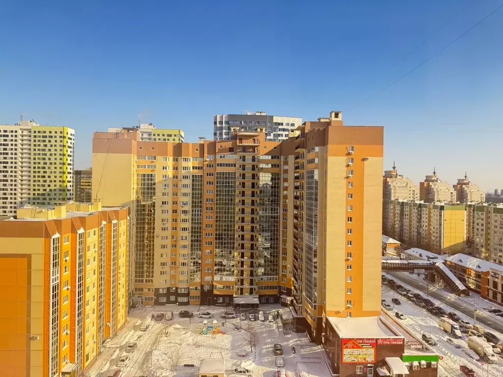 1-к кв. Воронежская область, Воронеж ул. Шишкова, 144 (42.0 м) - Фото 1