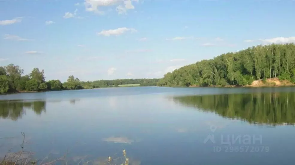 Дом в Московская область, Рузский муниципальный округ, д. Хомьяново  ... - Фото 1