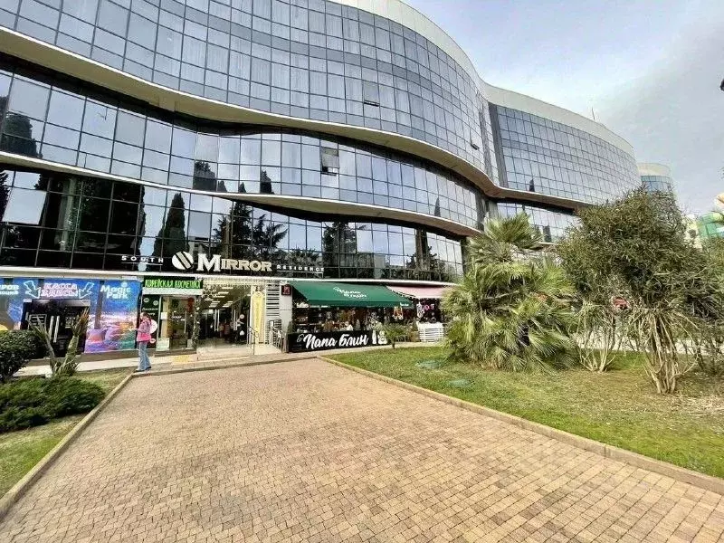 Студия Краснодарский край, Сочи Центральный мкр, ул. Навагинская, 11к5 ... - Фото 1