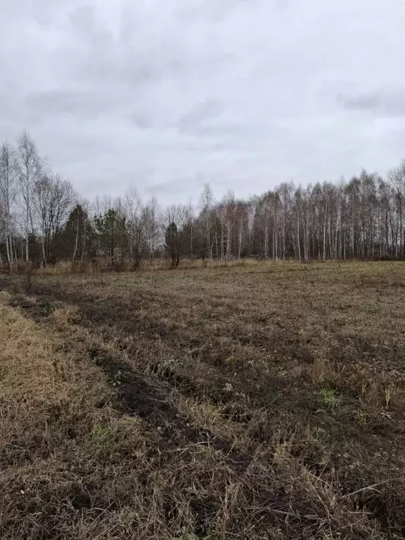 Участок в Пензенская область, Бессоновский район, с. Сосновка ... - Фото 1