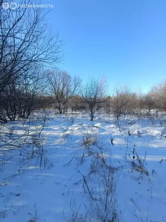 Участок в Амурская область, Благовещенск (6 м) - Фото 2