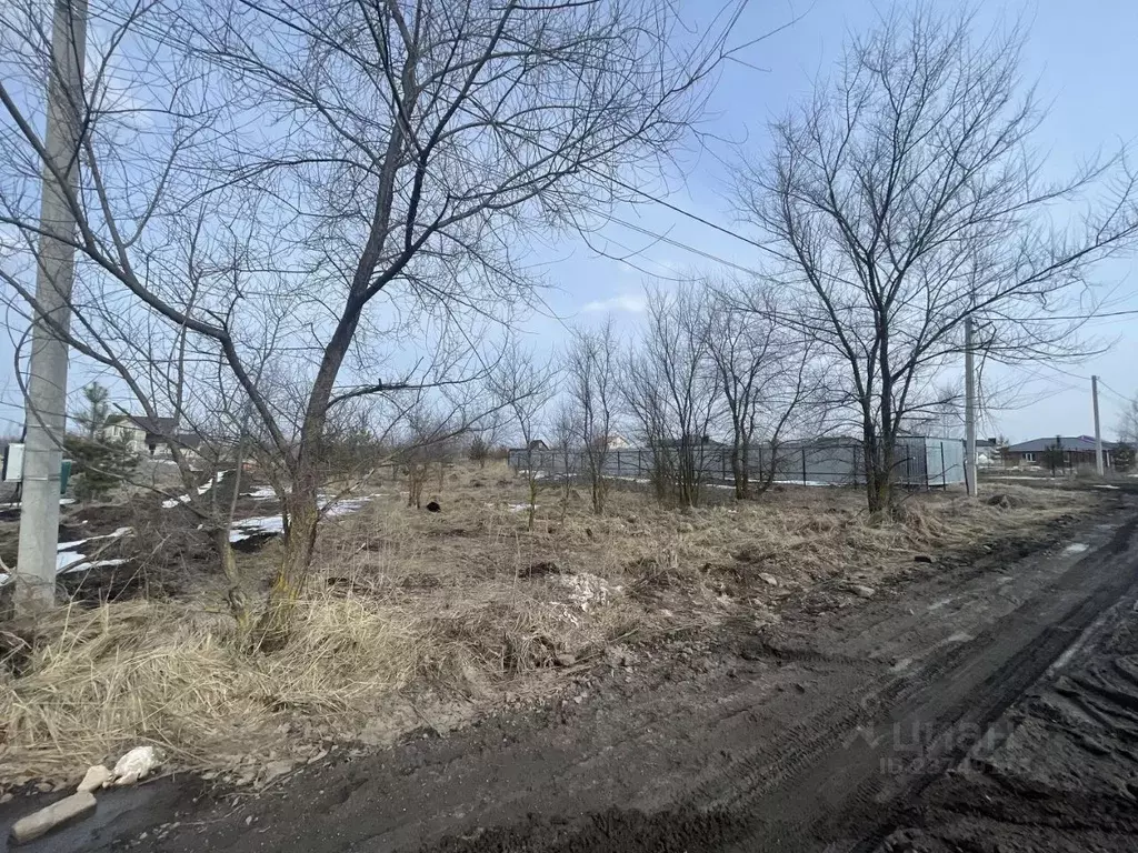 Участок в Воронежская область, Новоусманский район, с. Бабяково ул. ... - Фото 1