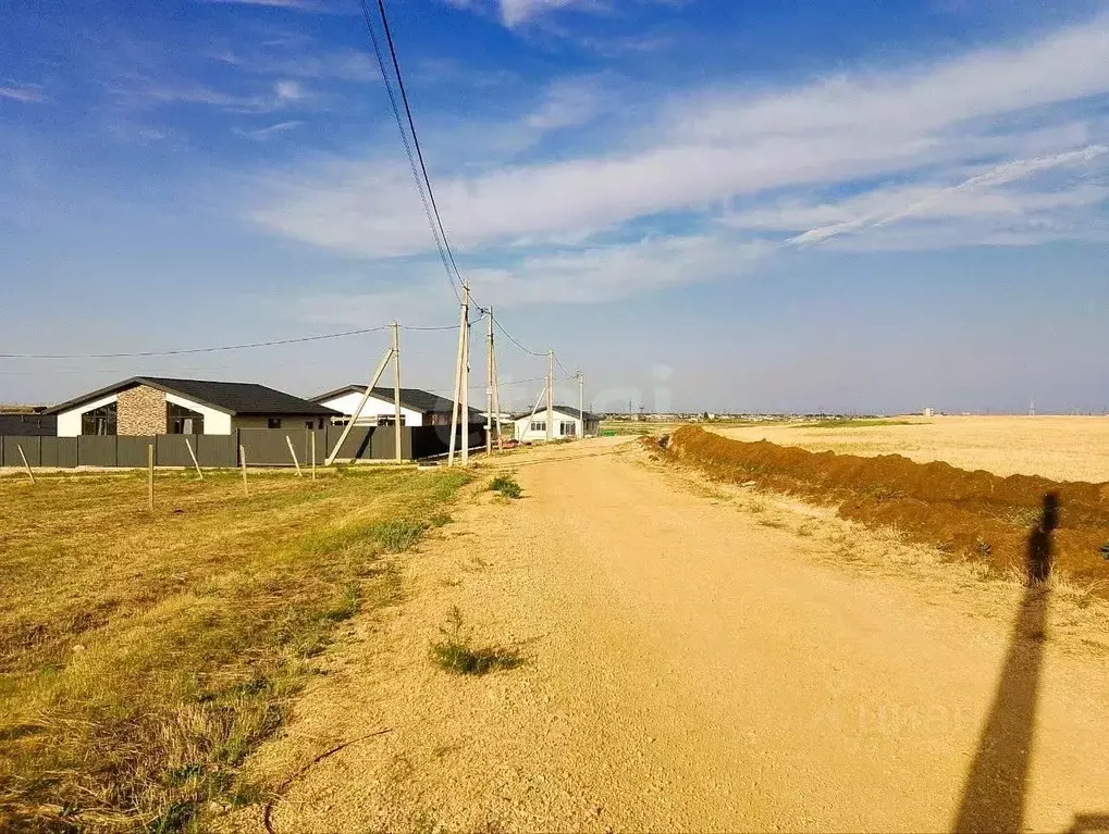 Участок в Крым, Феодосия Колос СПК, ул. Камышовая (6.0 сот.) - Фото 1