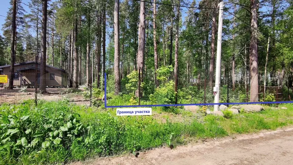 Участок 10 сот. (СНТ, ДНП) - Фото 0