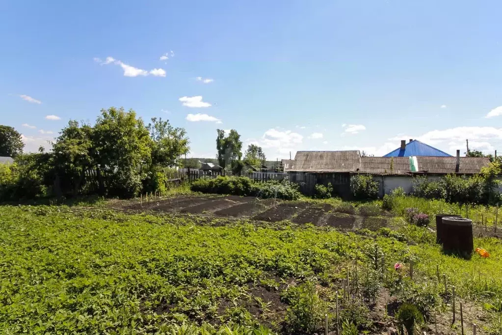 Участок в Свердловская область, Слободо-Туринский район, ... - Фото 0