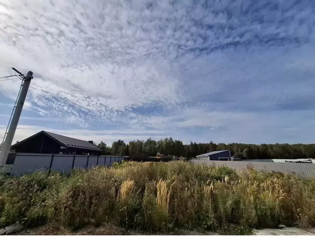 Участок в Московская область, Пушкинский городской округ, д. ... - Фото 1