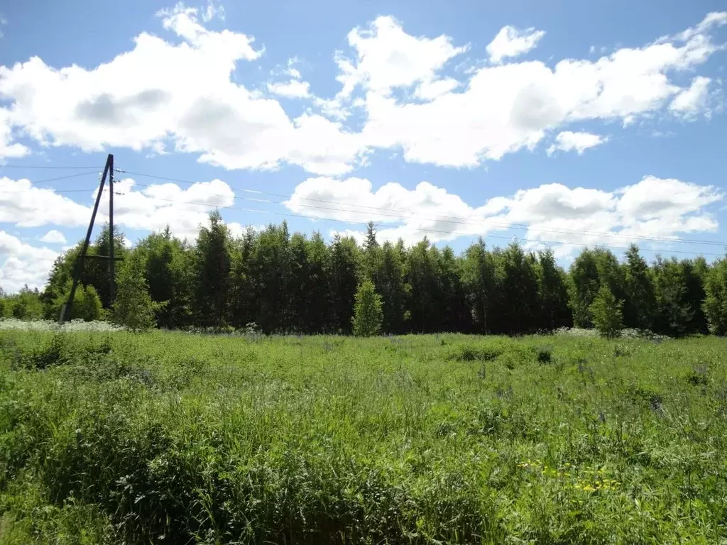 Участок в Нижегородская область, Сокольский городской округ, д. ... - Фото 1