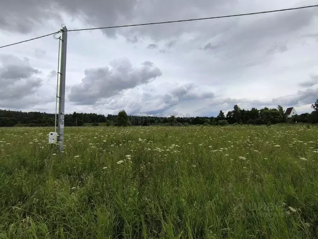 Участок в Московская область, Наро-Фоминский городской округ, Деревня ... - Фото 2