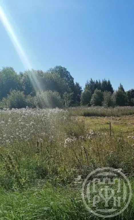 Участок в Ленинградская область, Лужский район, Заклинское с/пос, д. ... - Фото 2