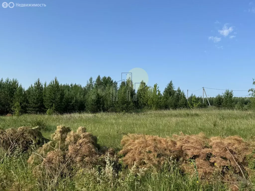 Участок в Карлук, улица Валентина Распутина (6 м) - Фото 0