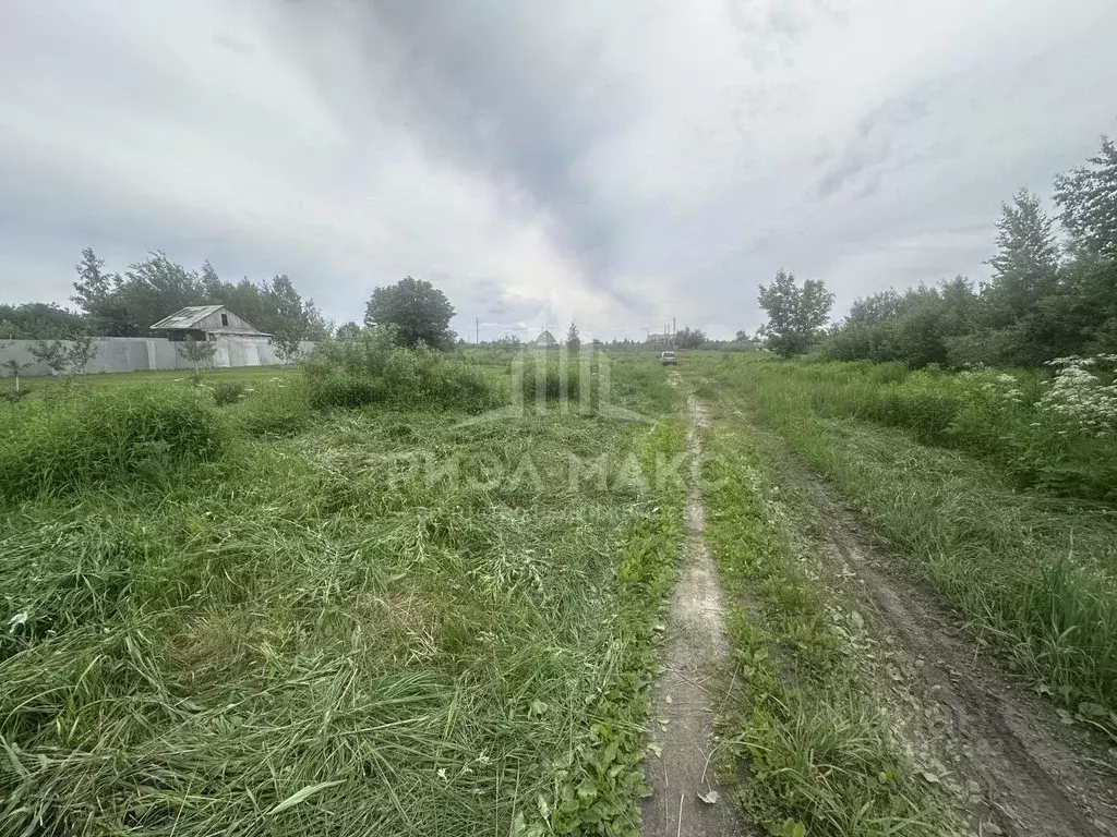 Участок в Брянская область, Брянск СО Мечта тер., ул. Виноградная (6.0 ... - Фото 1