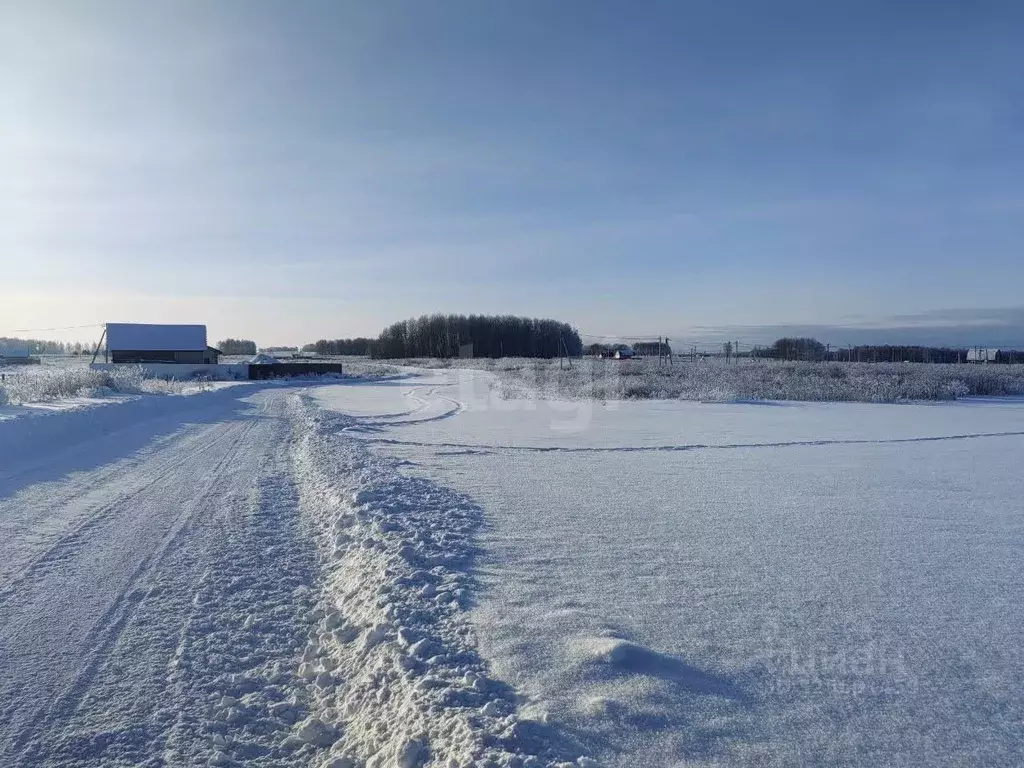 Участок в Тюменская область, Тюменский муниципальный округ, д. Большие ... - Фото 1