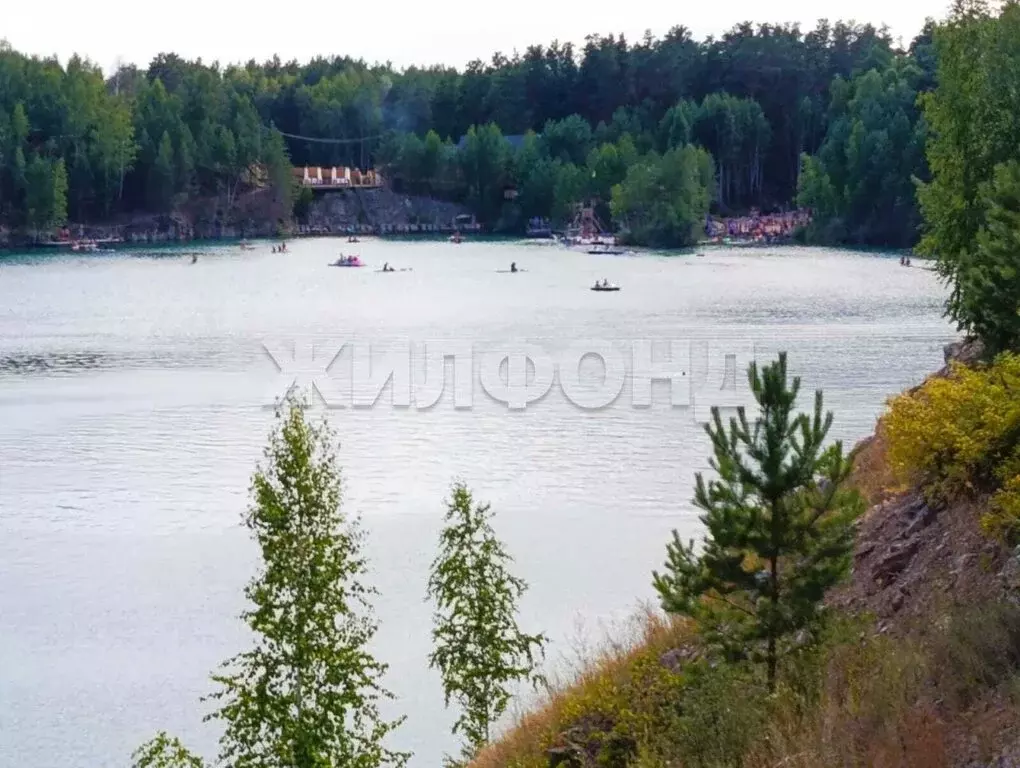 Участок в Ордынский район, деревня Абрашино, Центральная улица (9 м) - Фото 1