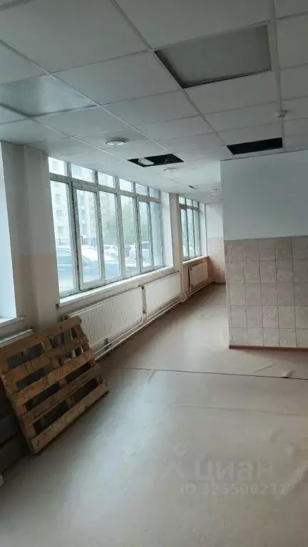 Помещение свободного назначения в Новосибирская область, Новосибирск ... - Фото 2